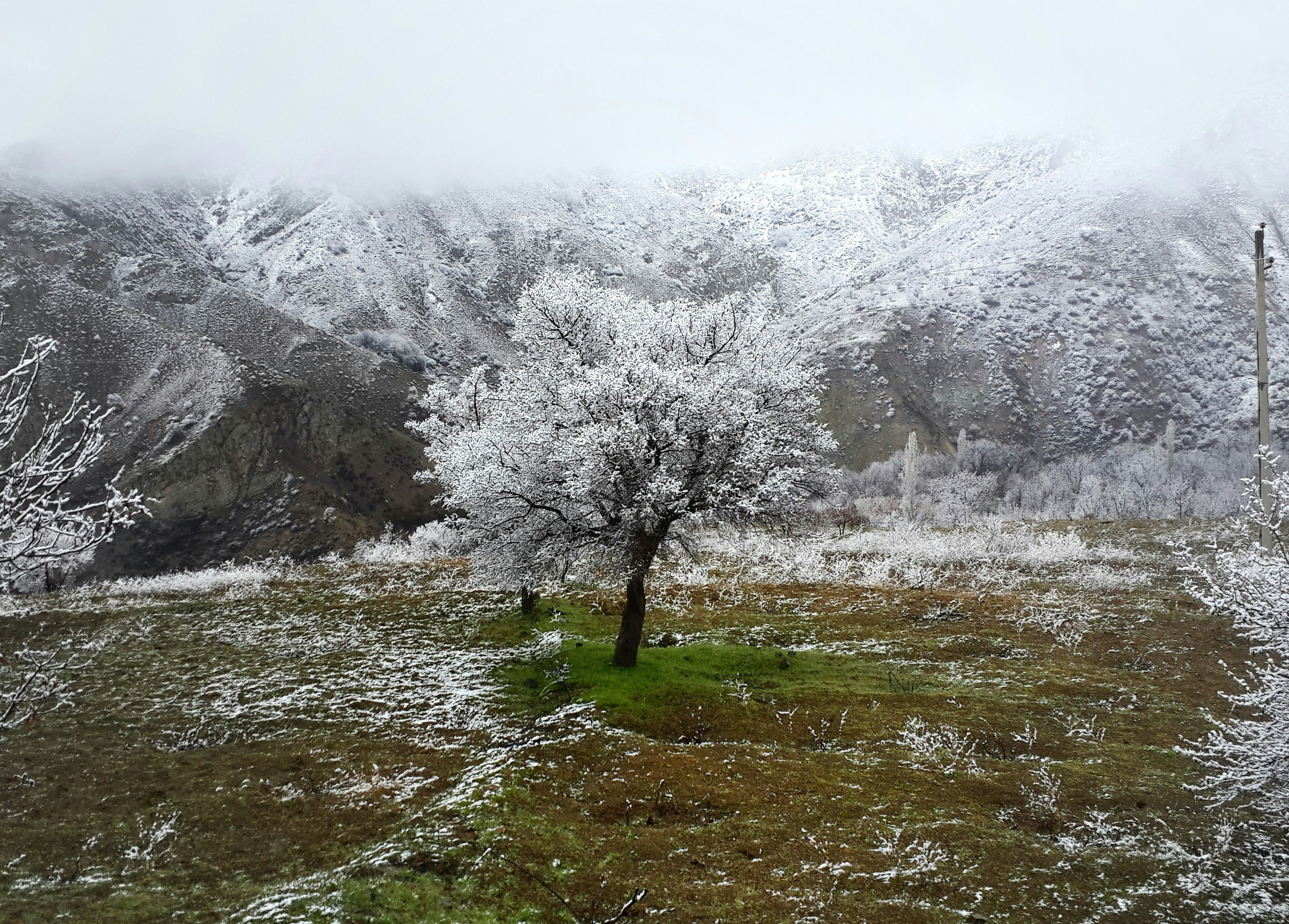 Winter in Alamut Iran