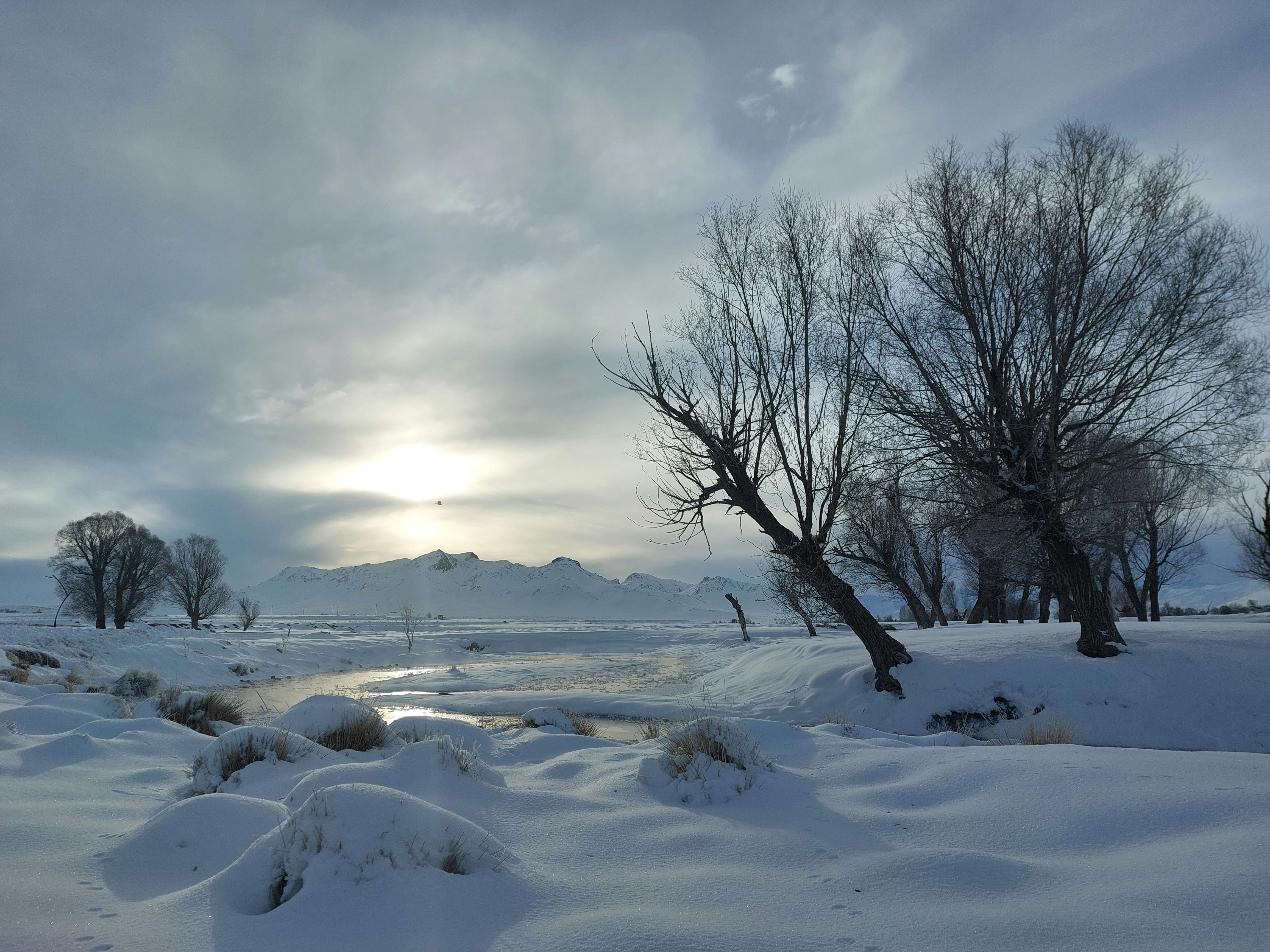 Winter in Fereydunshahr