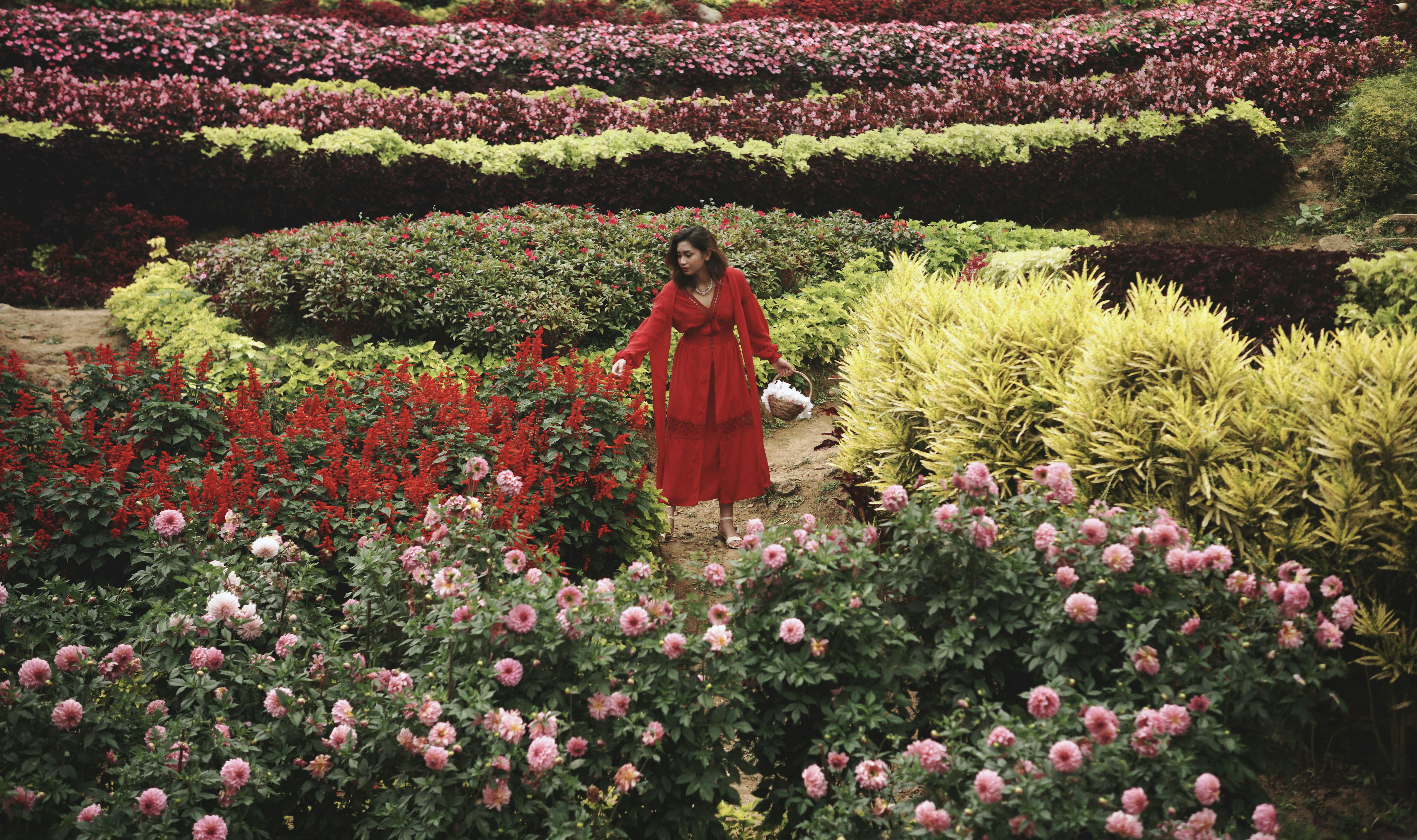 Persian Gardens