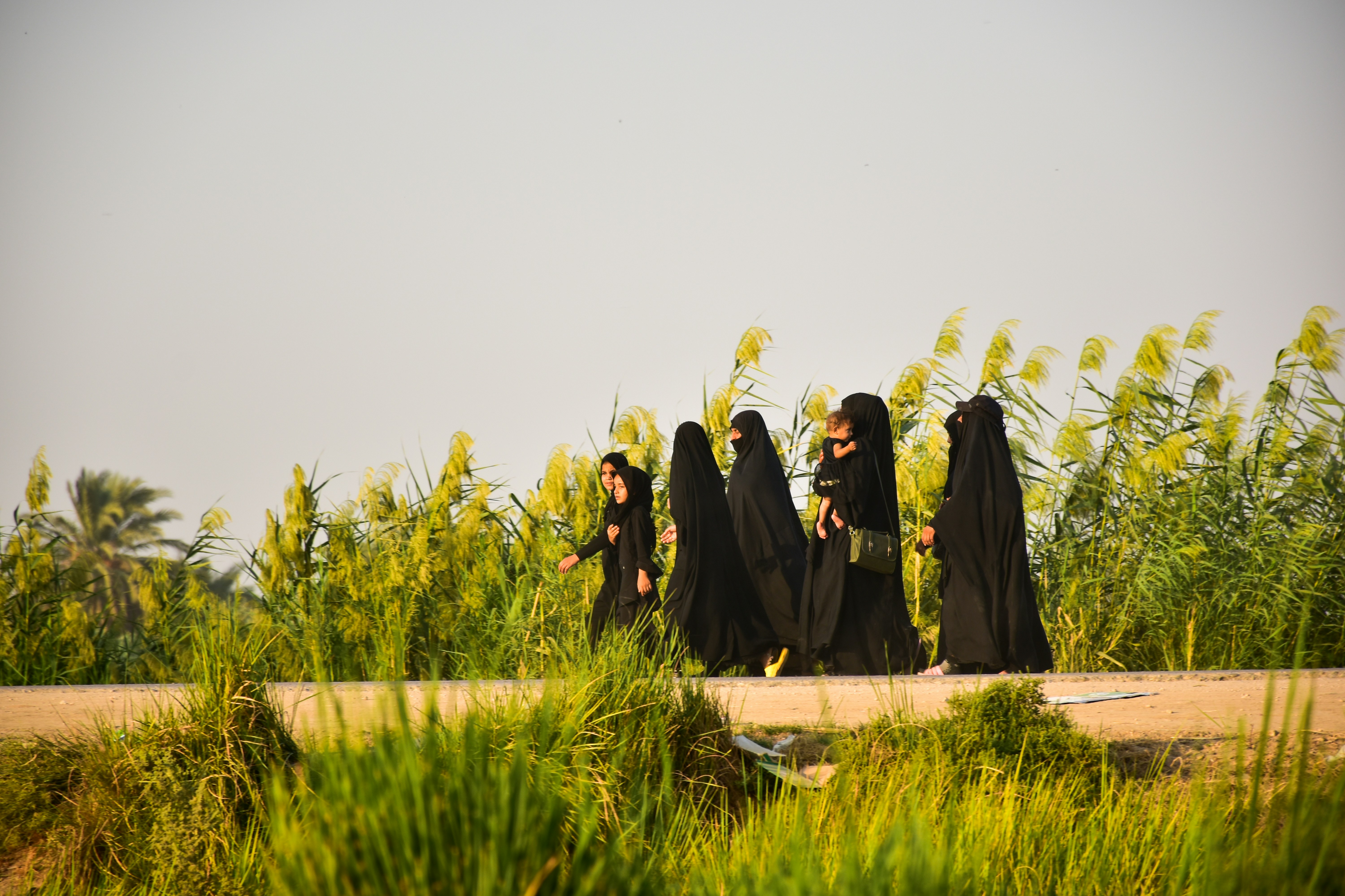 Persian tilework detail