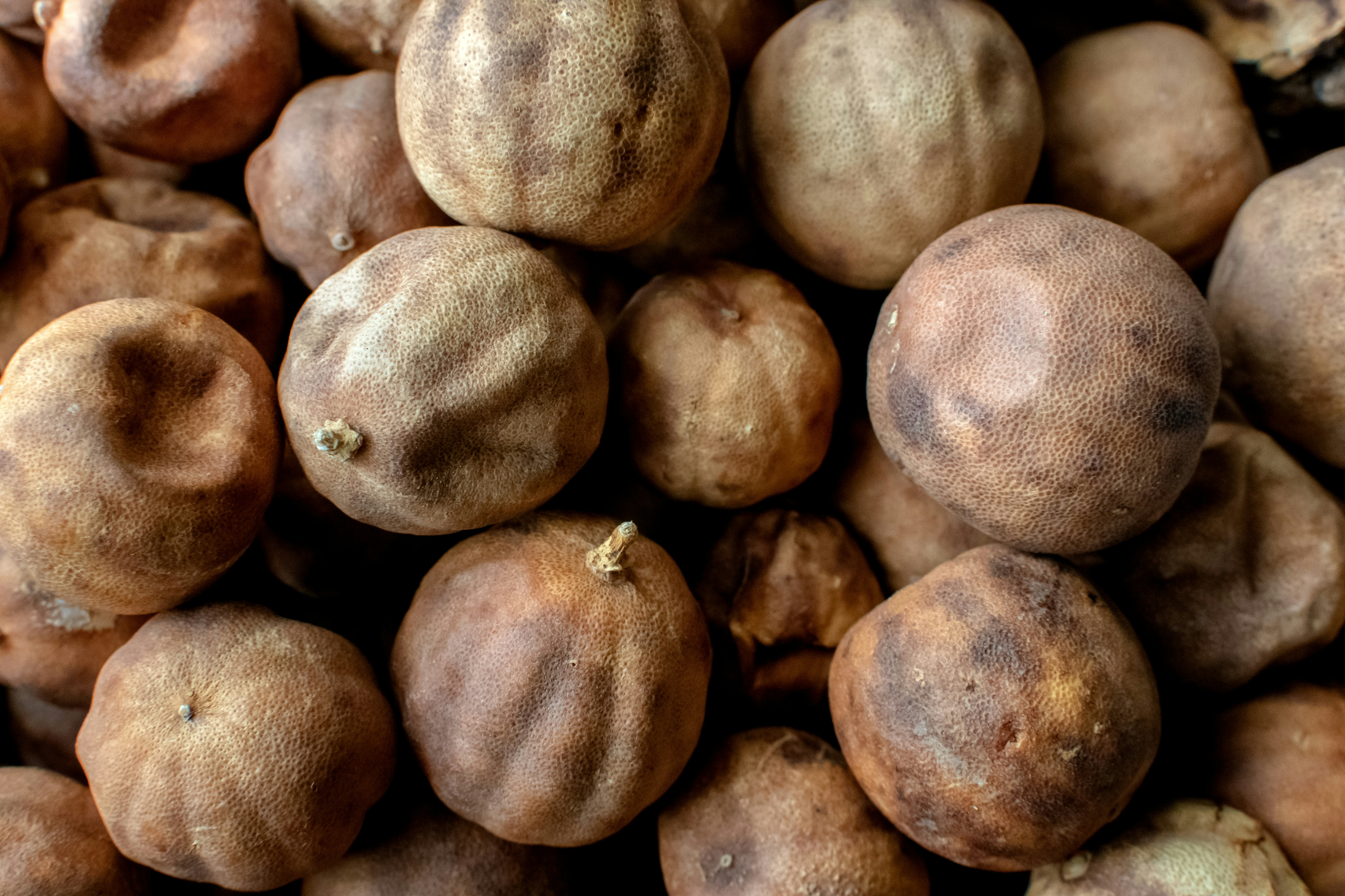 Dried Limes