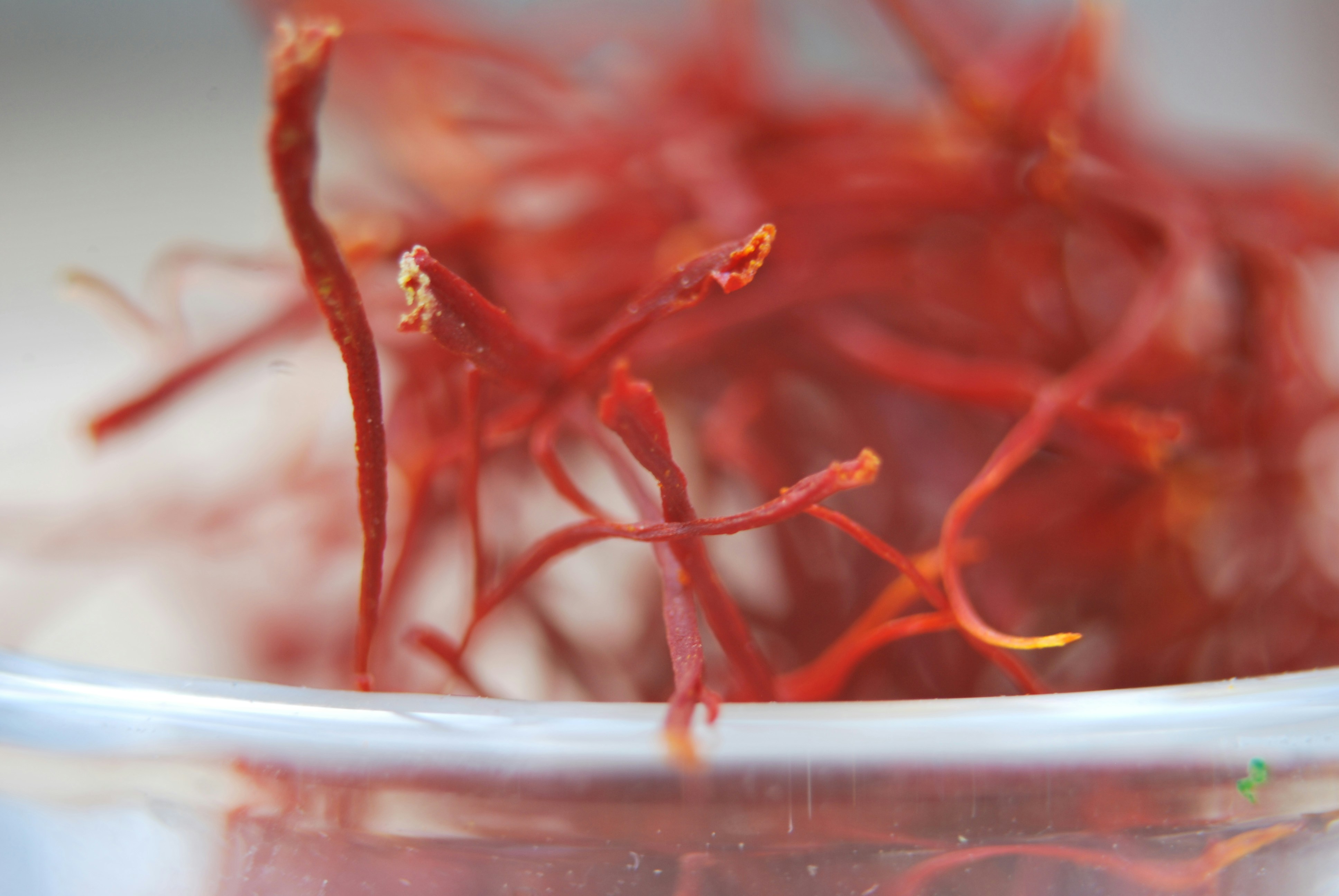 Saffron Harvest