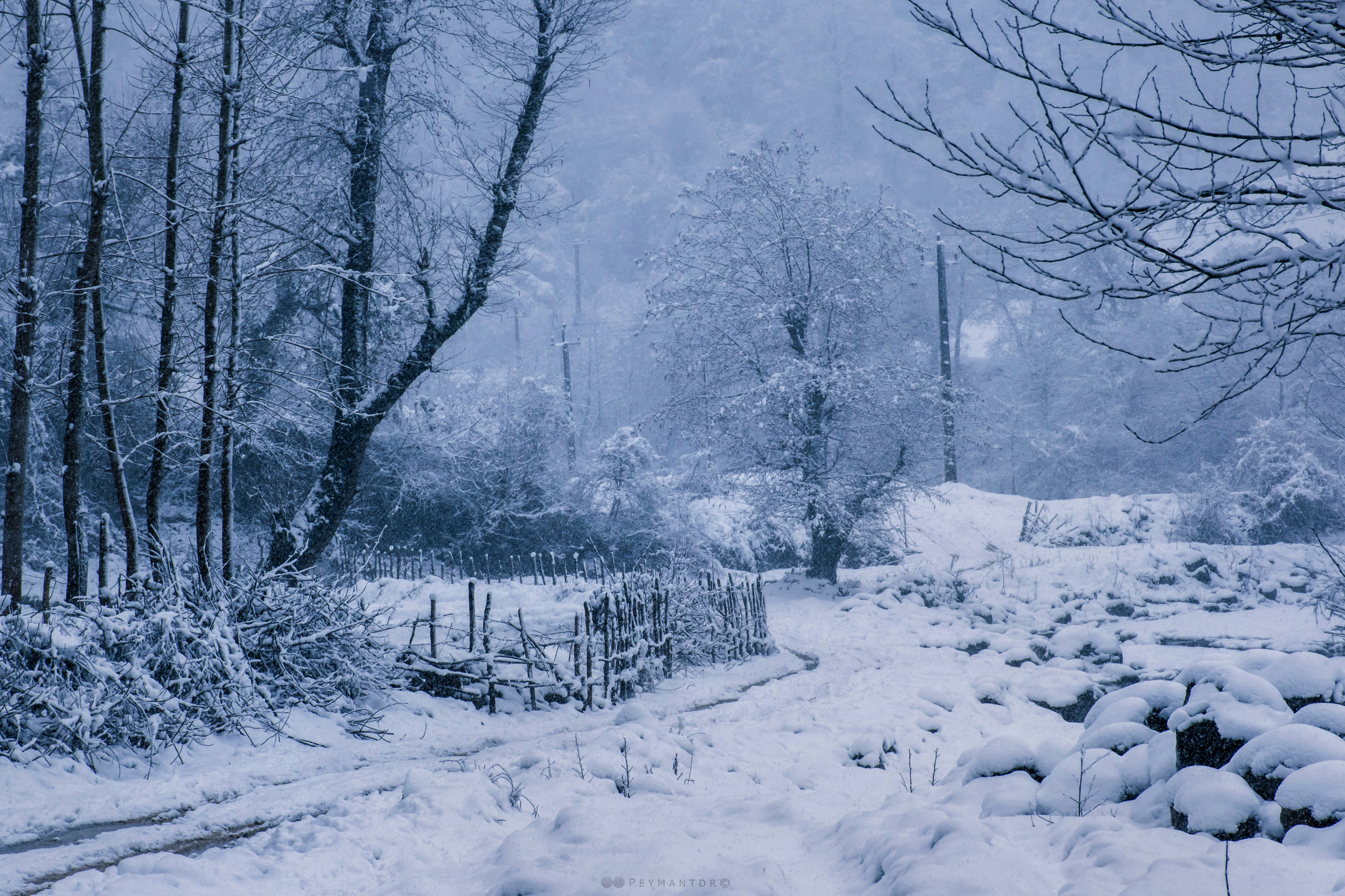 Winter in Talesh, Iran